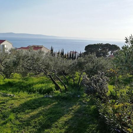 Stella Mare Διαμέρισμα Tučepi Εξωτερικό φωτογραφία