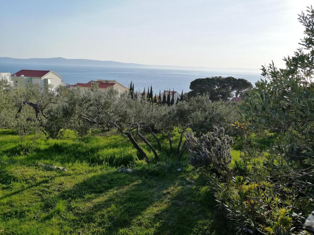 Stella Mare Διαμέρισμα Tučepi Εξωτερικό φωτογραφία