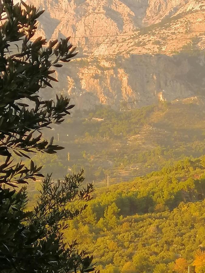 Stella Mare Διαμέρισμα Tučepi Εξωτερικό φωτογραφία